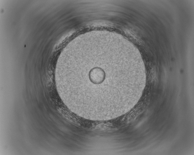 X0000078830824200611271255