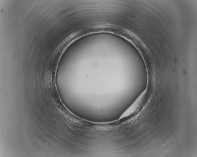 X0000078830825200611271255