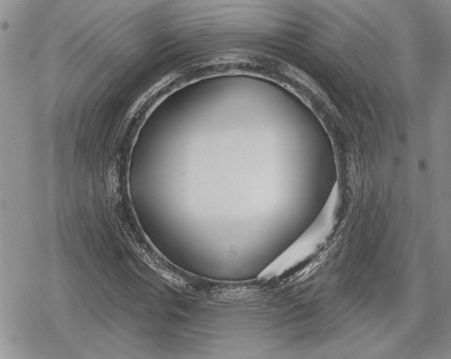 X0000078830826200611271255