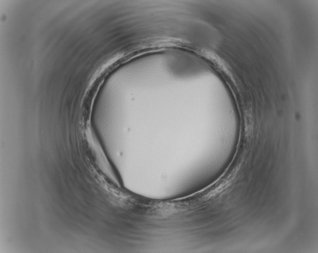 X0000078830827200611271255