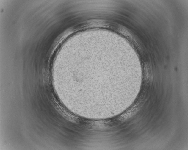 X0000078830828200611271255