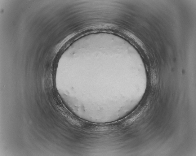 X0000078830829200611271255