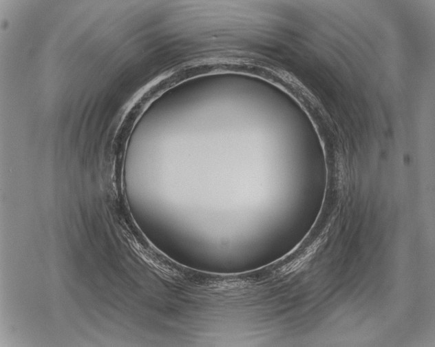 X0000078830830200611271255