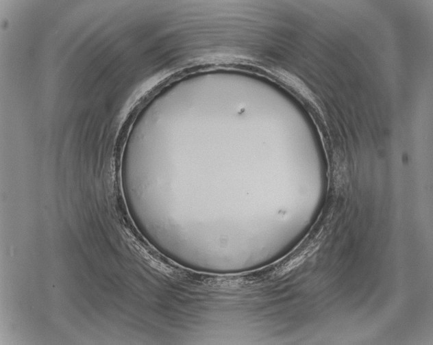 X0000078830831200611271255