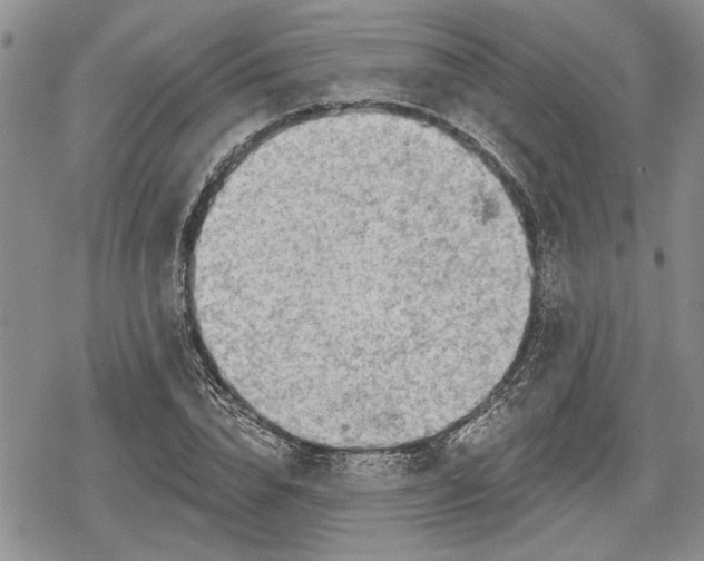 X0000078830832200611271255