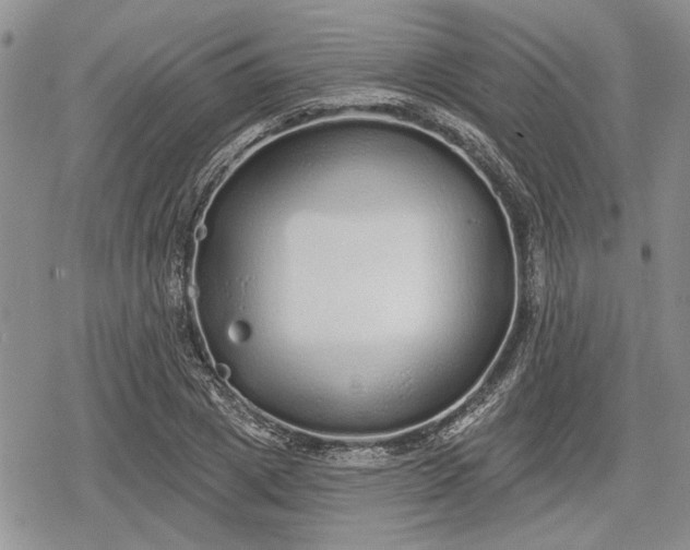 X0000078830833200611271255