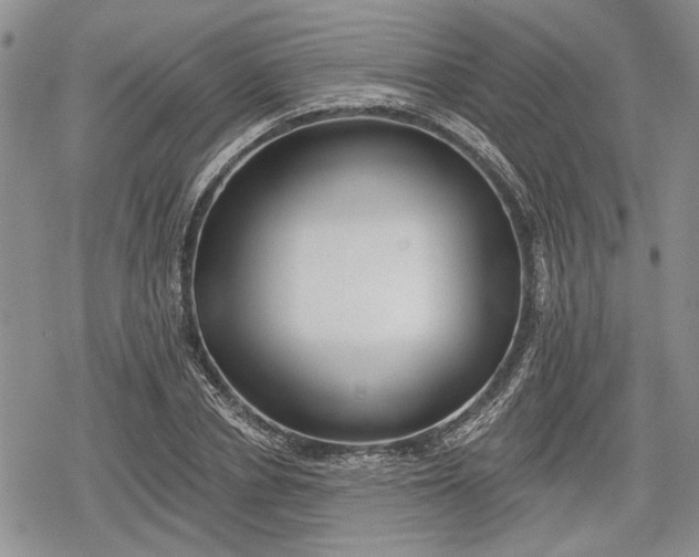 X0000078830834200611271255