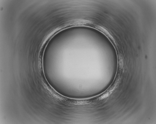 X0000078830835200611271255