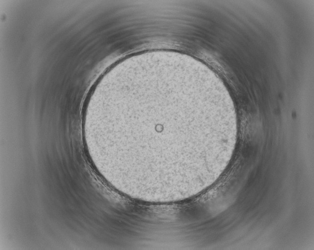 X0000078830836200611271255