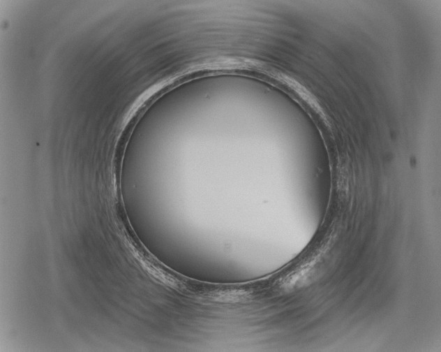 X0000078830837200611271255