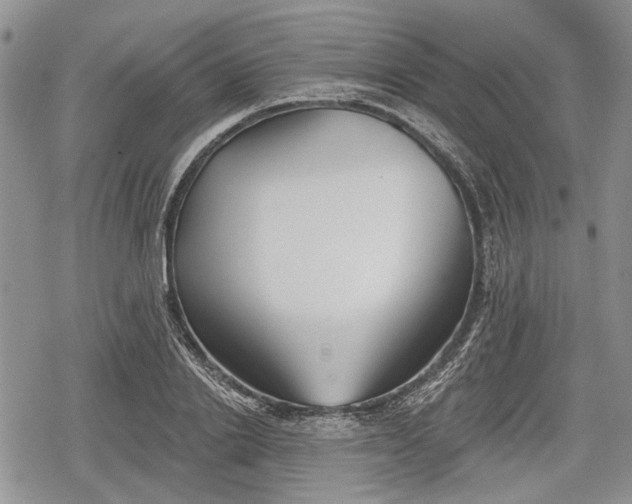 X0000078830838200611271255