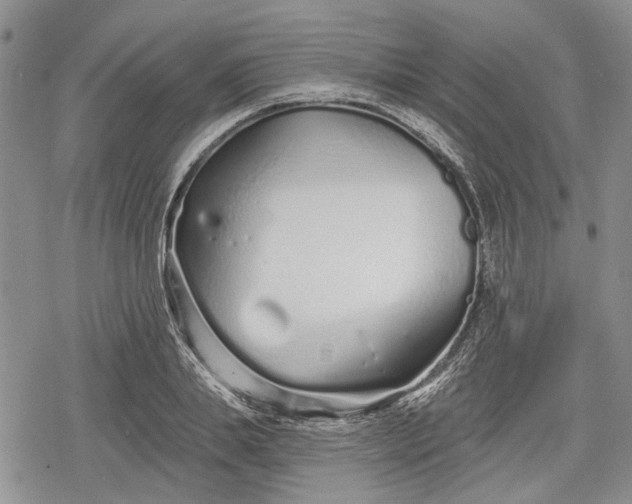 X0000078830839200611271255