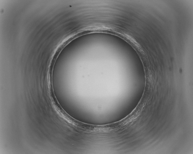 X0000078830840200611271255