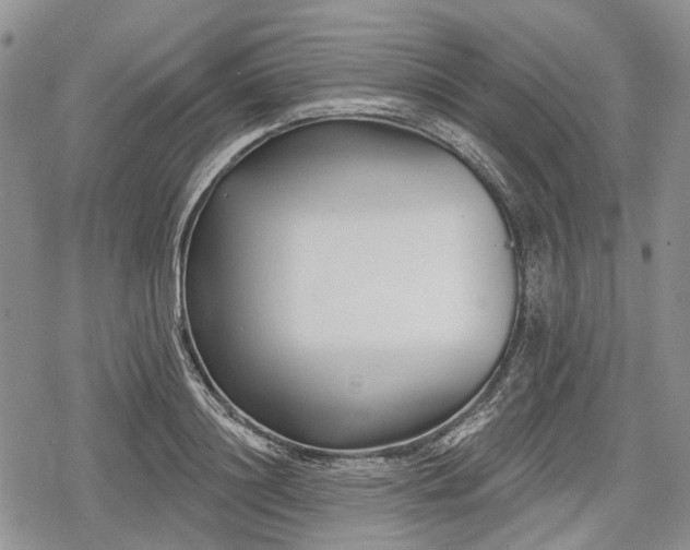 X0000078830844200611271255