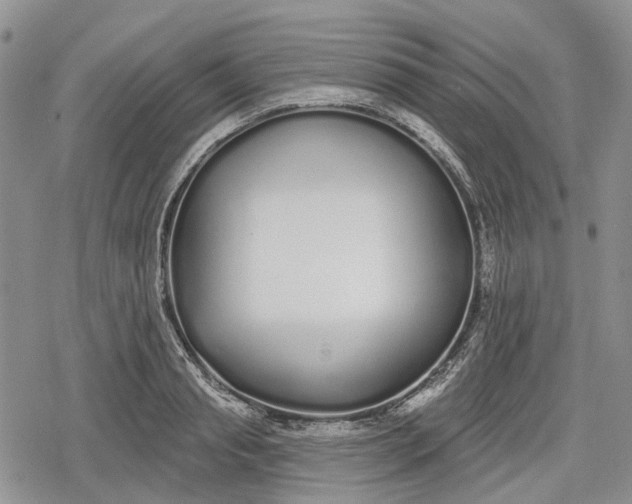 X0000078830845200611271255