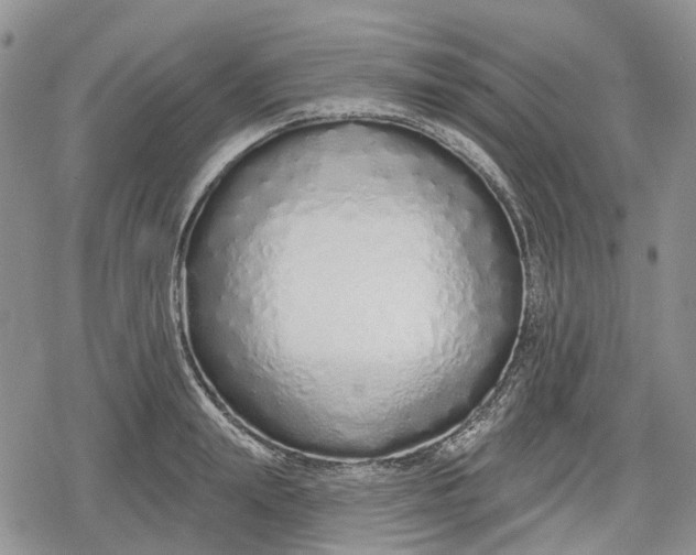 X0000078830847200611271255