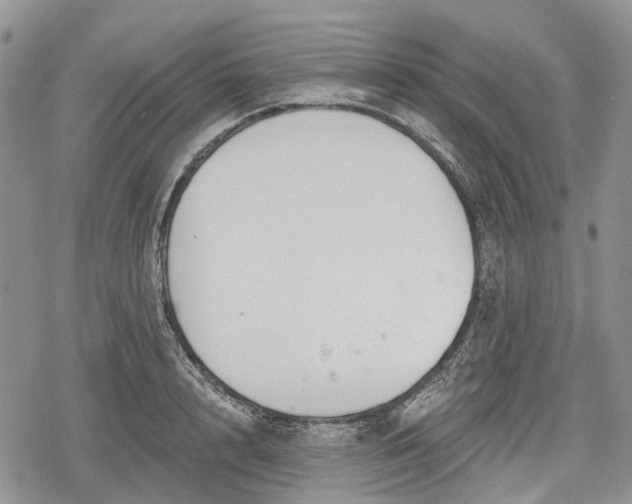 X0000078830848200611271255