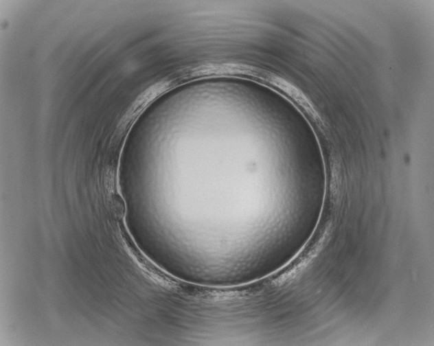 X0000078830849200611271255