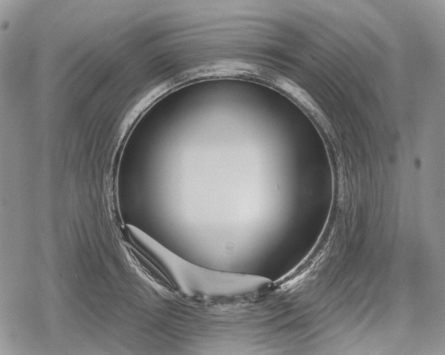 X0000078830850200611271255