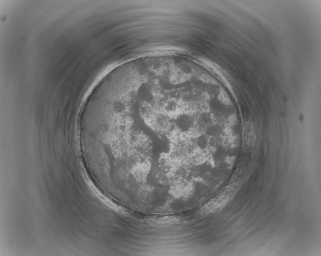 X0000078830851200611271255