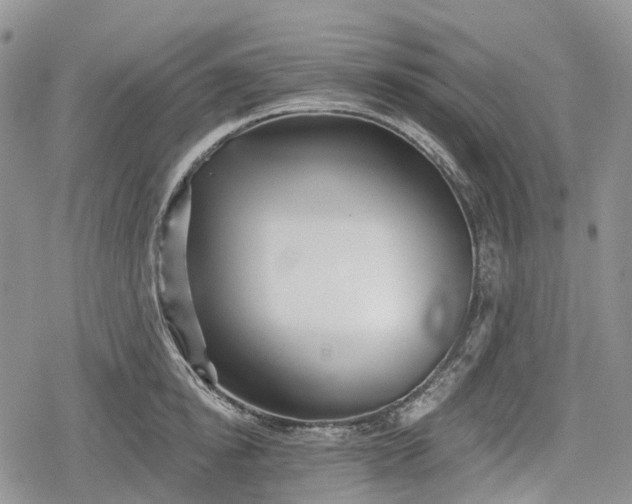 X0000078830854200611271255