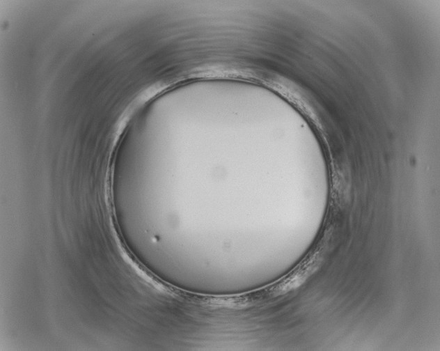 X0000078830855200611271255