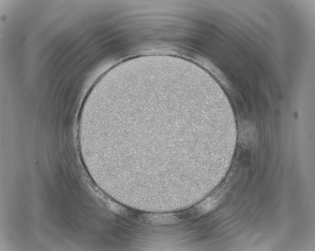 X0000078830856200611271255