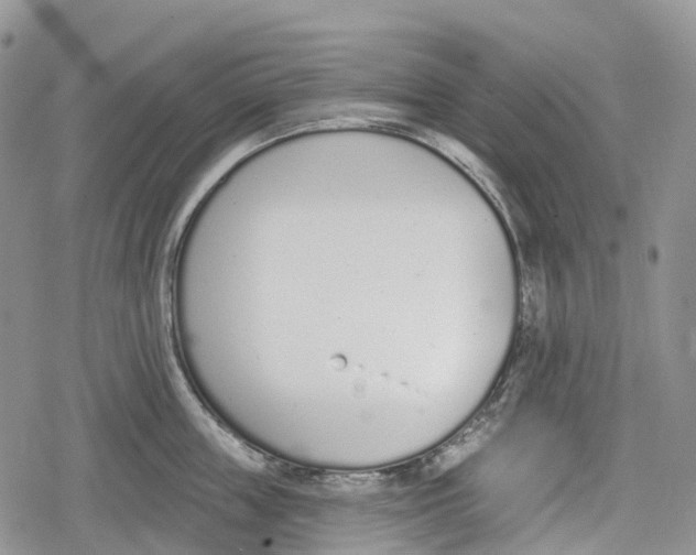 X0000078830859200611271255