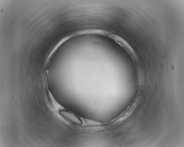 X0000078830860200611271255