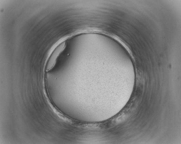 X0000078830861200611271255