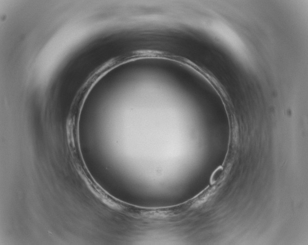 X0000078830862200611271255