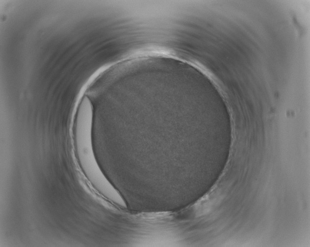 X0000078830864200611271255