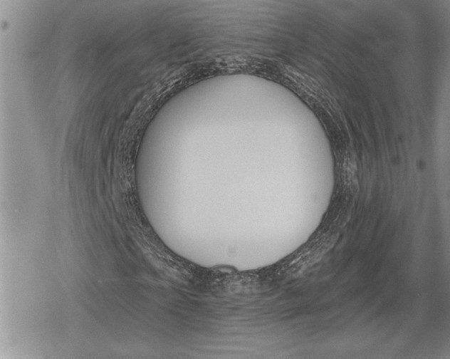 X0000078830865200611271254