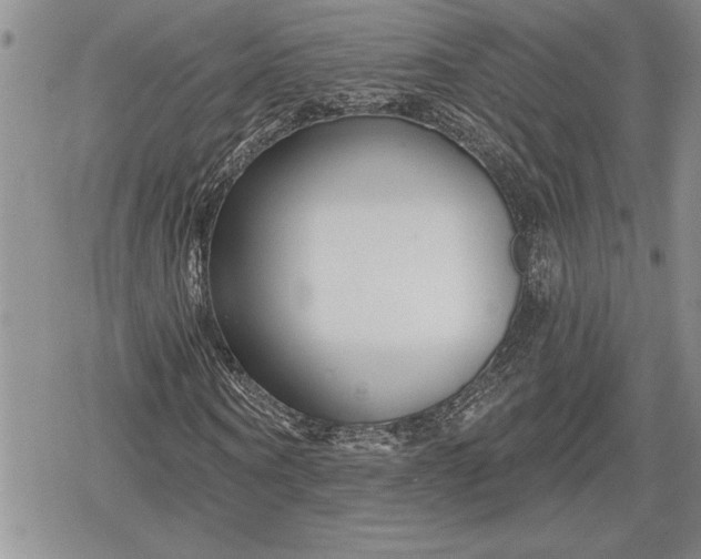 X0000078830866200611271254