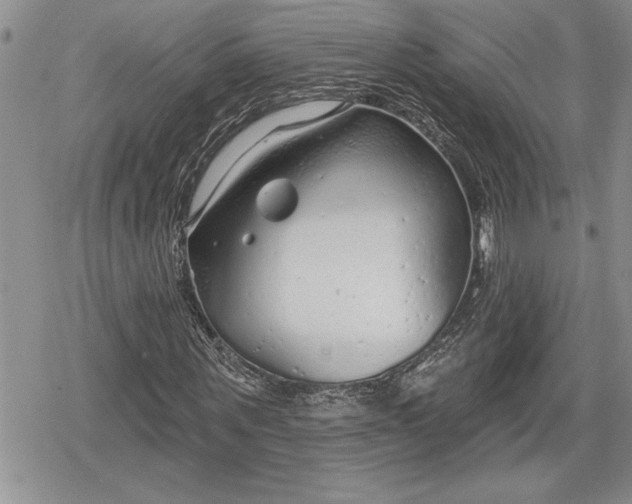 X0000078830867200611271254