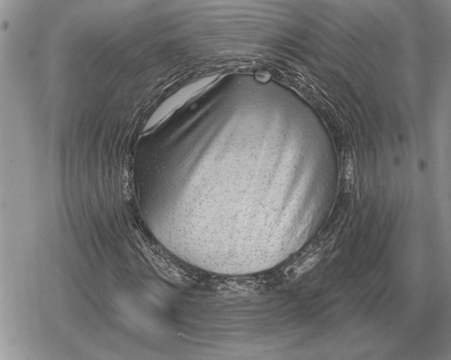 X0000078830868200611271254