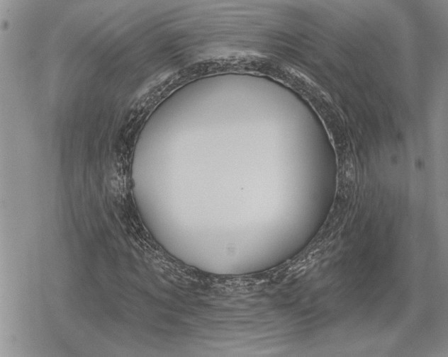 X0000078830869200611271254