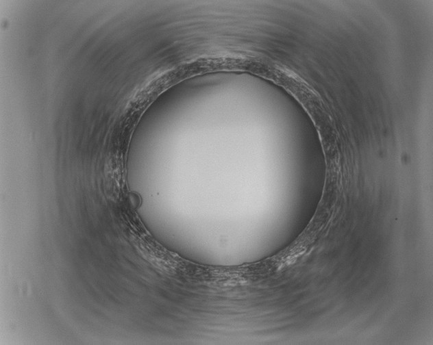 X0000078830870200611271254