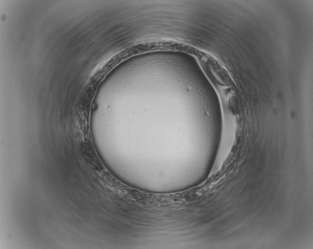 X0000078830871200611271254