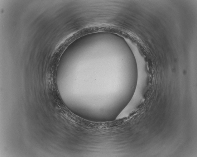 X0000078830872200611271254