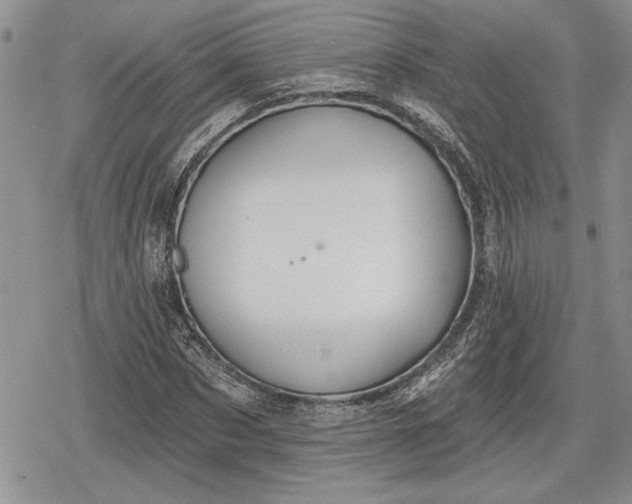 X0000078830873200611271254