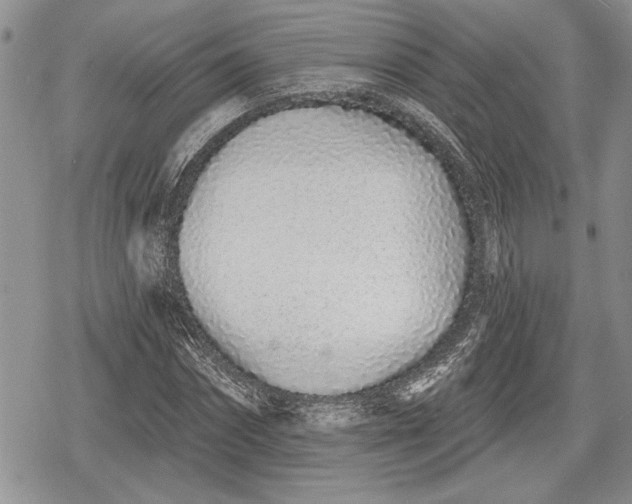 X0000078830874200611271254