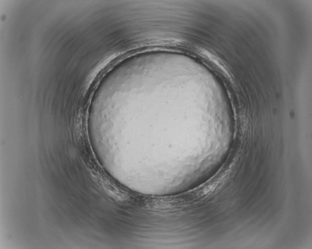 X0000078830875200611271254