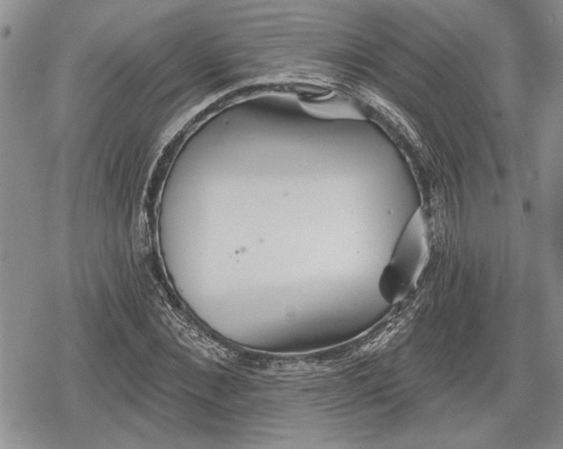 X0000078830876200611271254