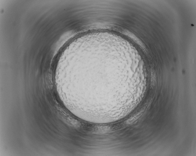 X0000078830878200611271254