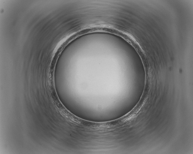 X0000078830879200611271254