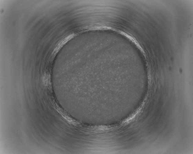 X0000078830881200611271254