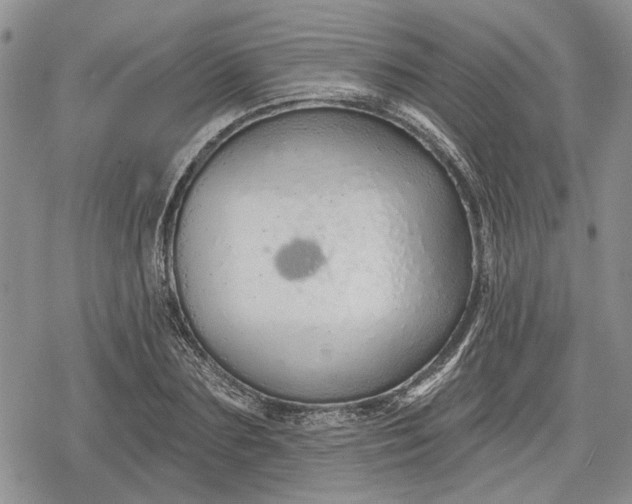 X0000078830883200611271254