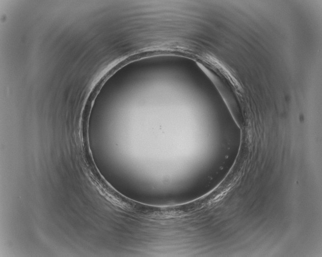 X0000078830884200611271254