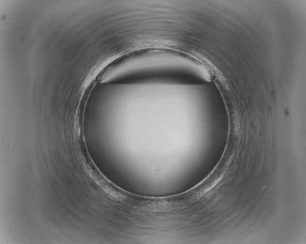 X0000078830885200611271254